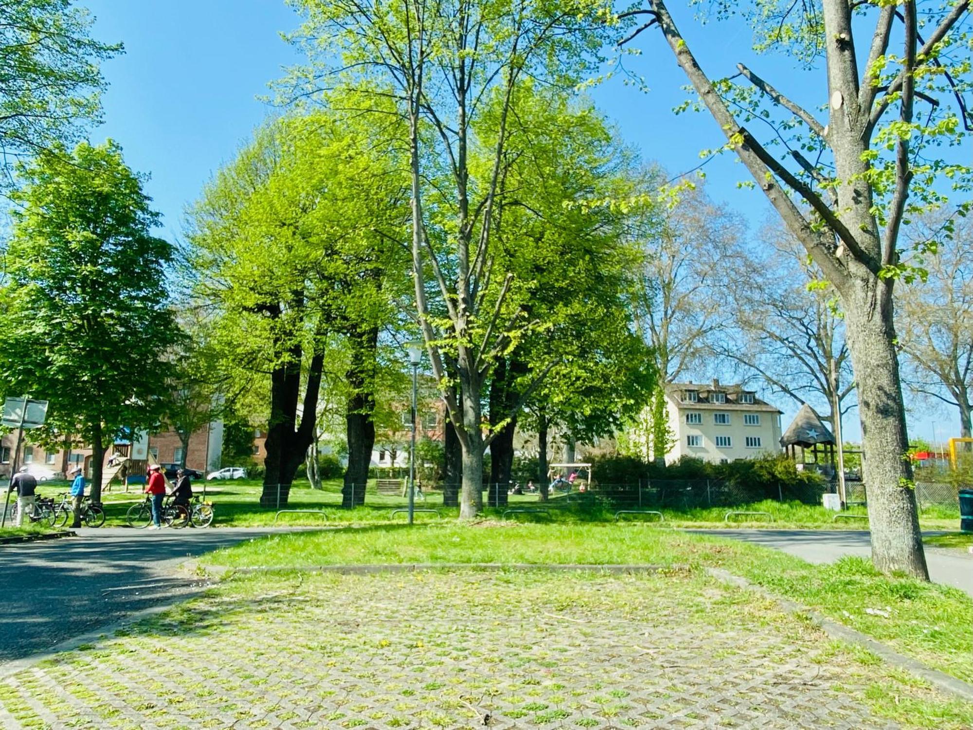 Kassel: Alles, Was Du Brauchst! Esterno foto