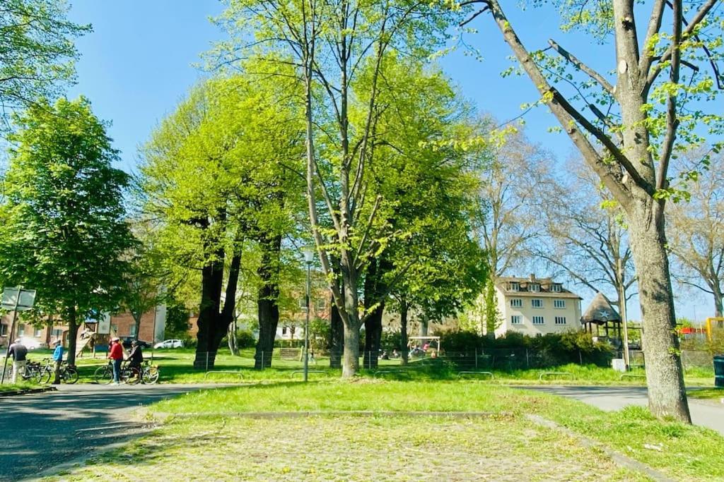 Kassel: Alles, Was Du Brauchst! Esterno foto